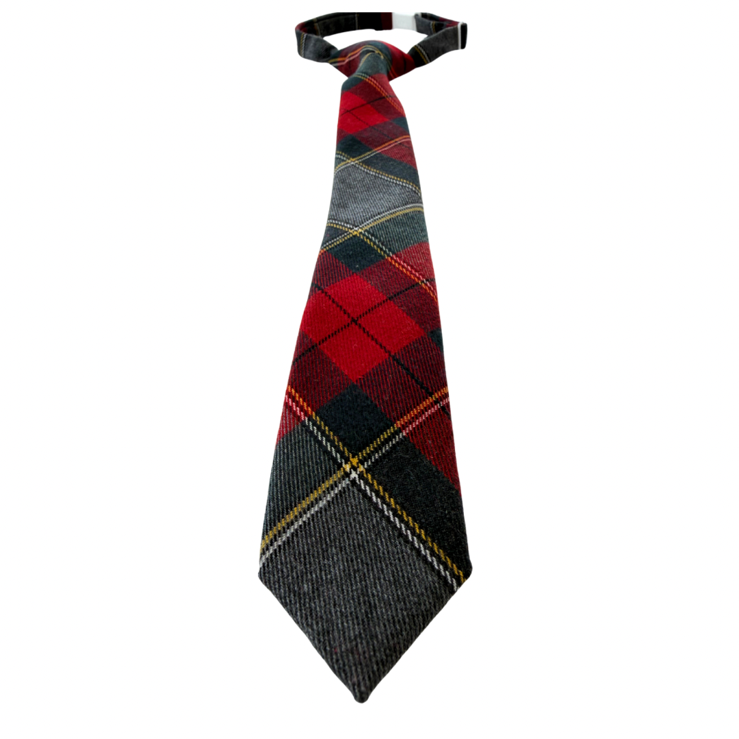 Kevin Plaid Boys Pre-Tied Tie