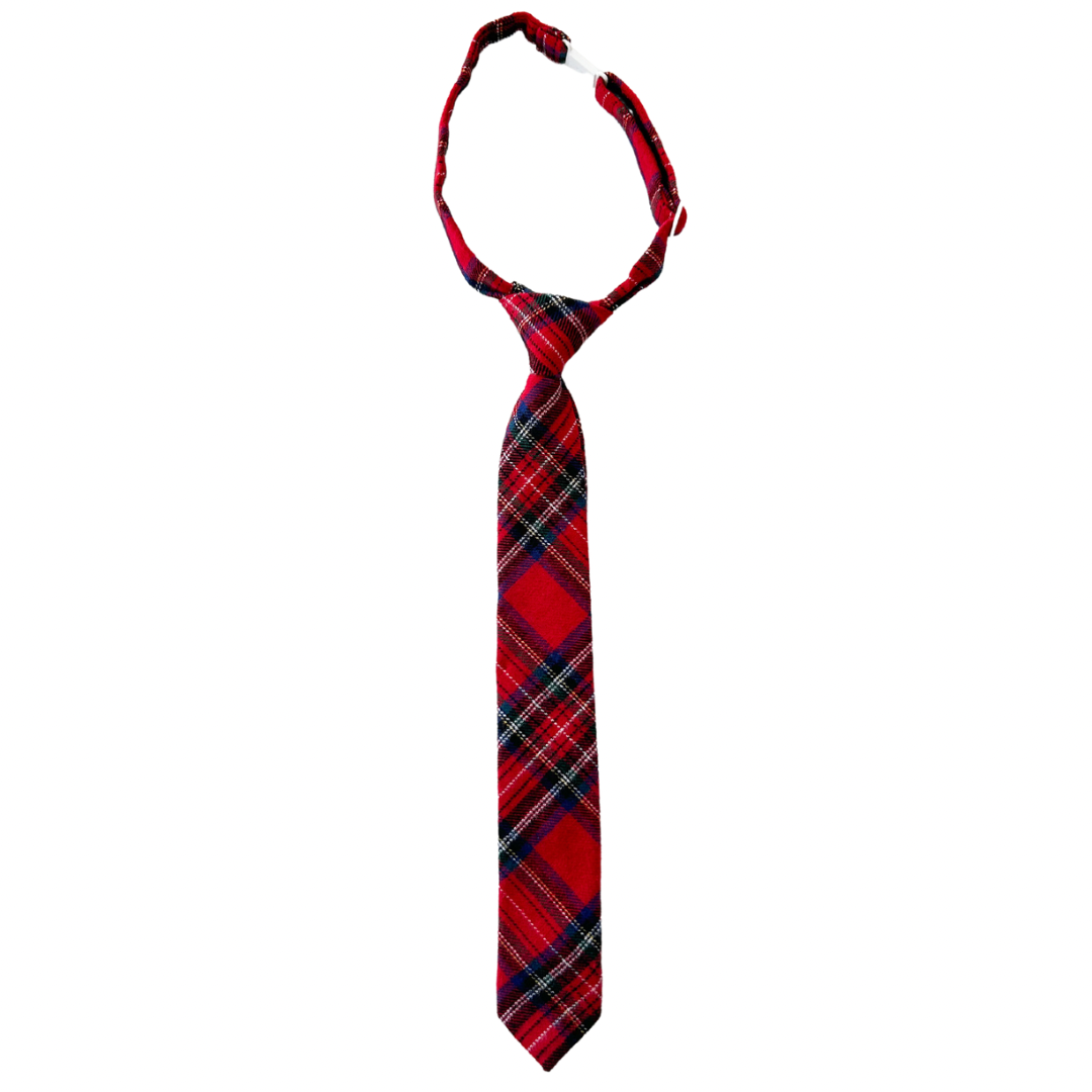 Classic Christmas Plaid Boys Pre-tied Tie (2023)