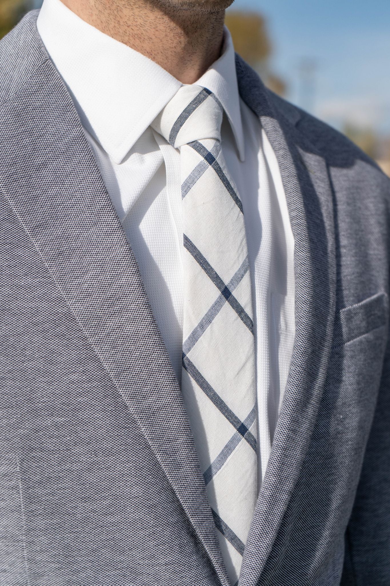 Cascade Plaid Mens Tie