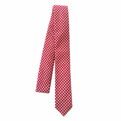 Ralphie Red Gingham Plaid Boys Regular Tie