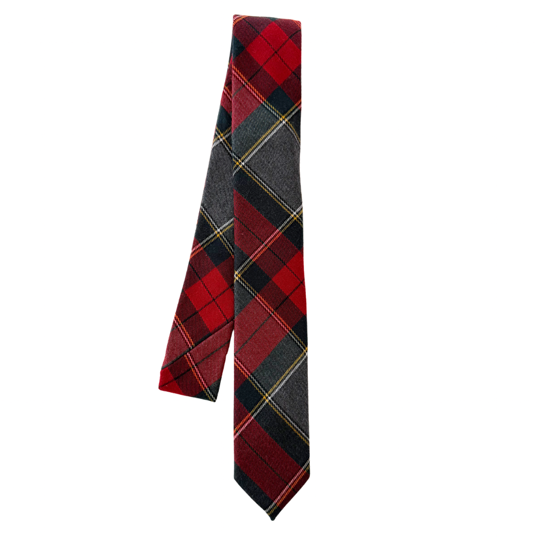 Kevin Plaid Boys Regular Tie