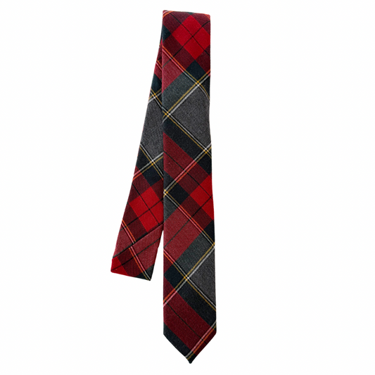 Kevin Plaid Boys Regular Tie