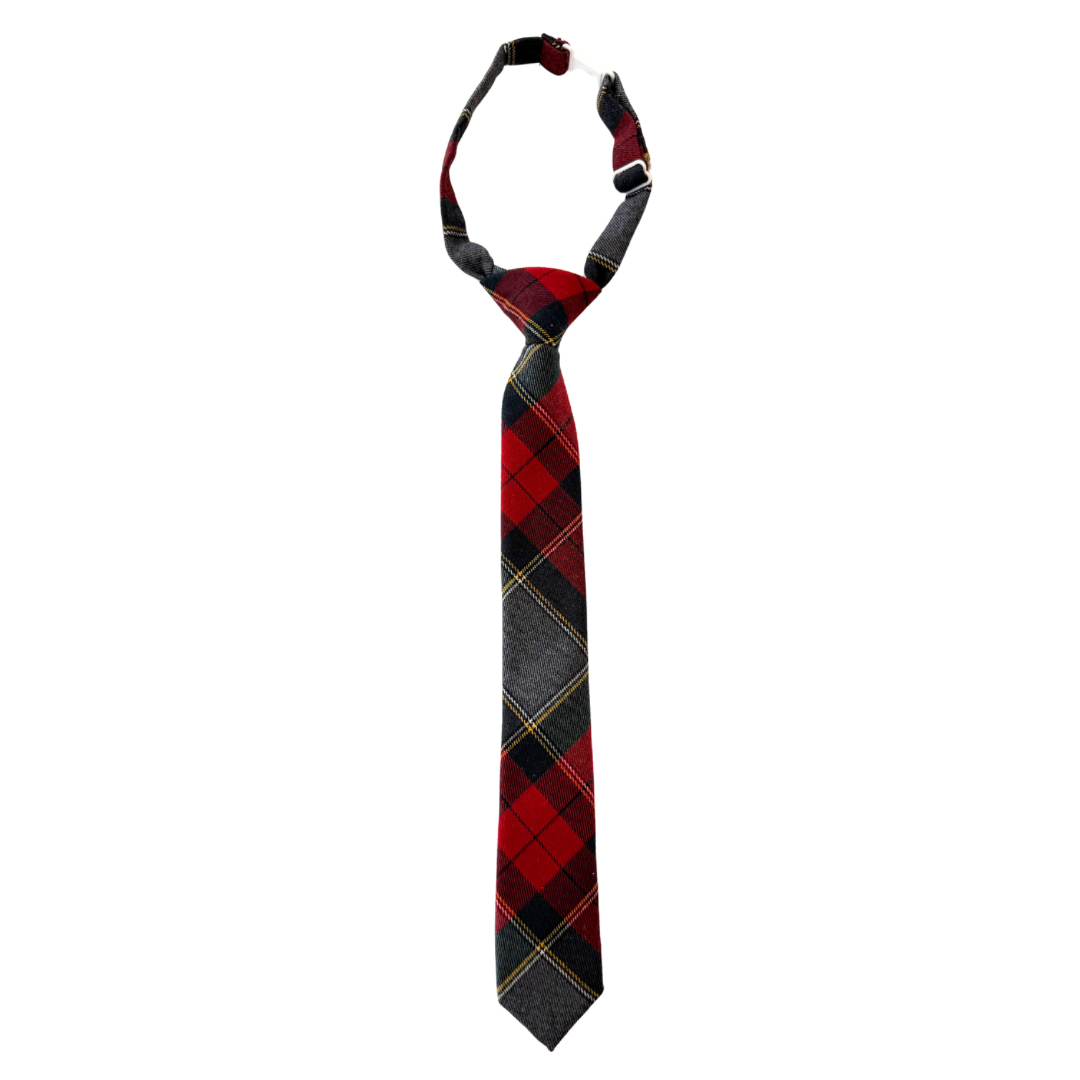 Kevin Plaid Boys Pre-Tied Tie