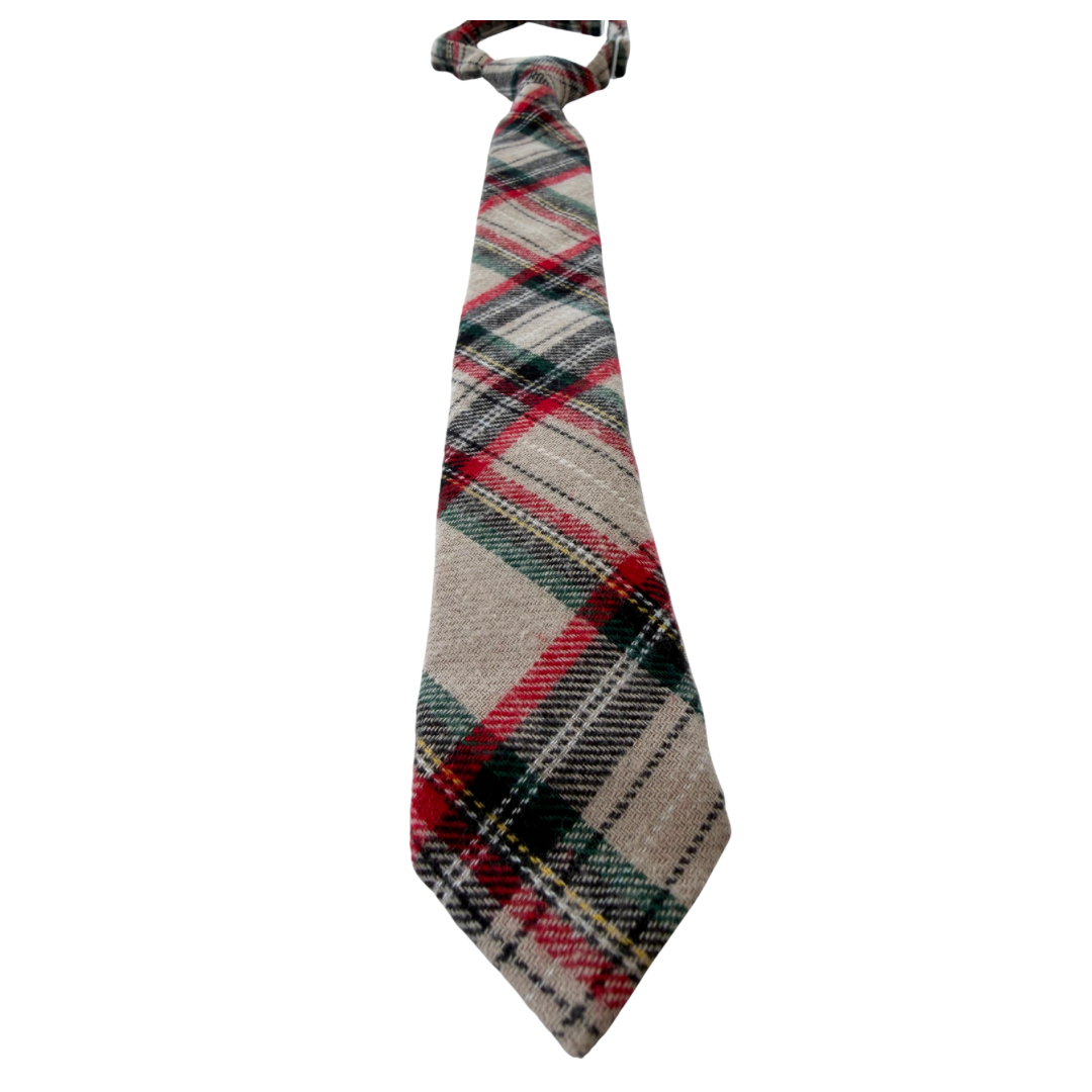 Dasher Plaid Boys Pre-Tied Tie