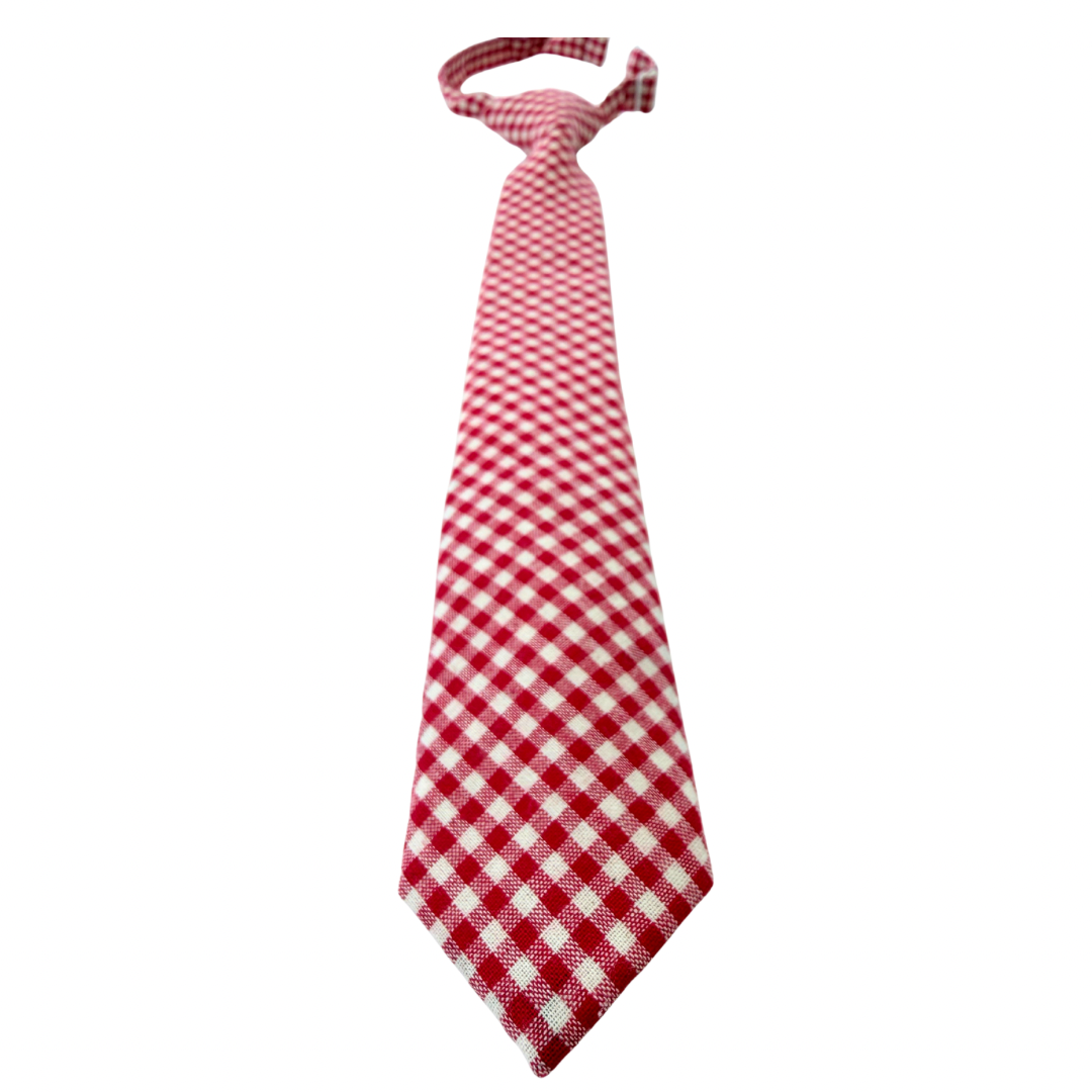 Ralphie Red Gingham Boys Pre-Tied Tie