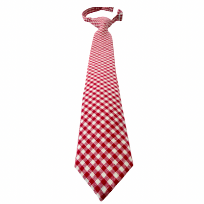 Ralphie Red Gingham Boys Pre-Tied Tie