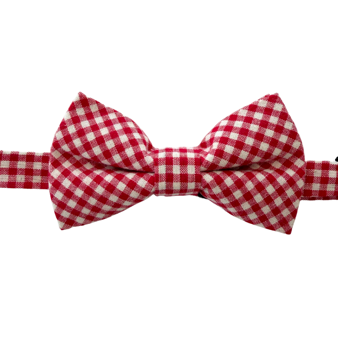 Ralphie Red Gingham Boys Bow Tie