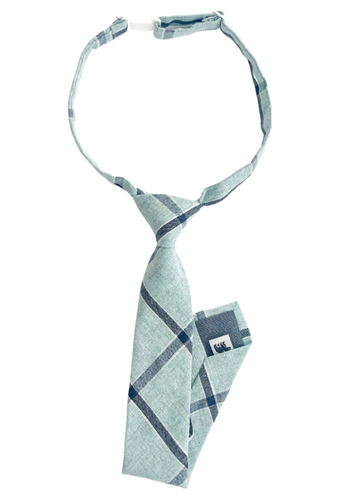 Paddy Grid Boys Tie